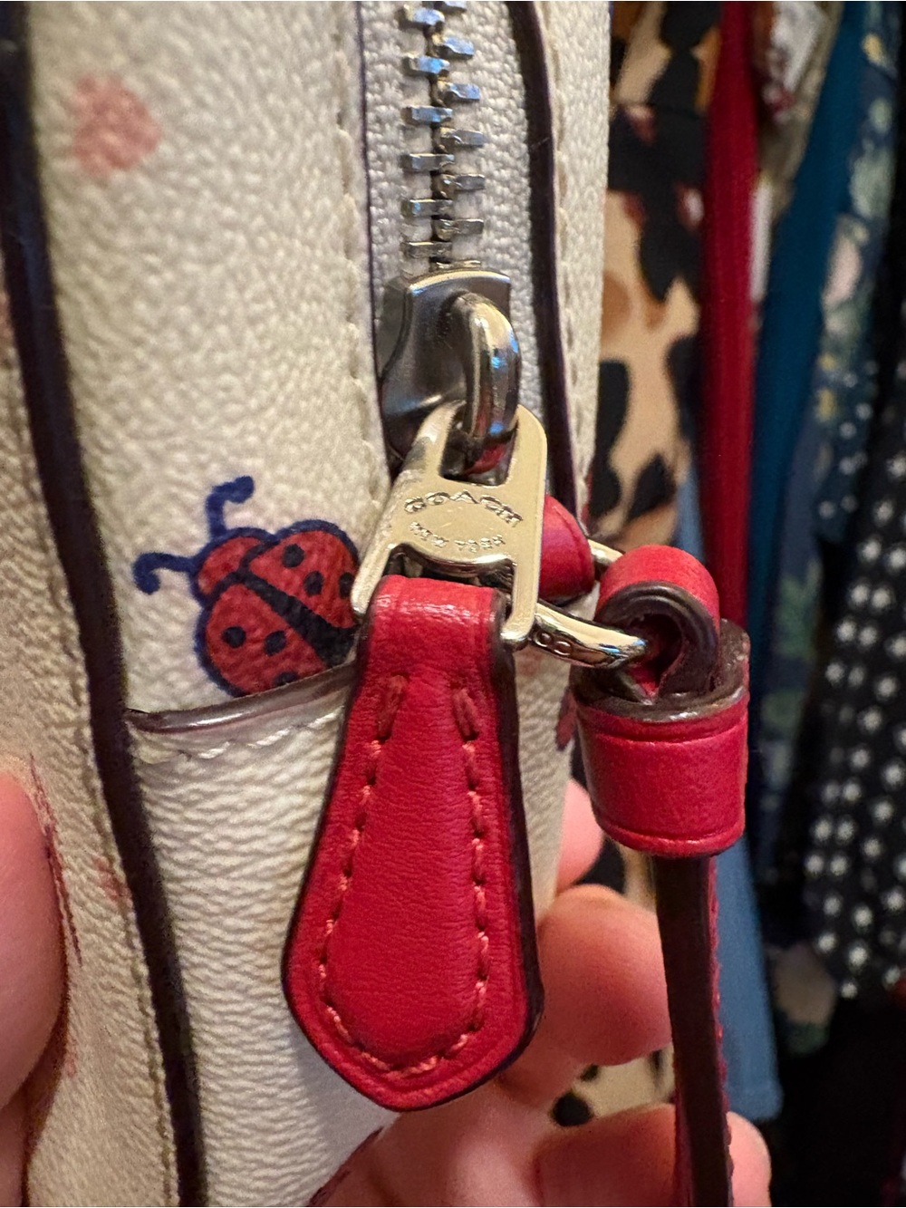 Coach | Mini Camera Bag | Lady Bug Print - Picture 10 of 13